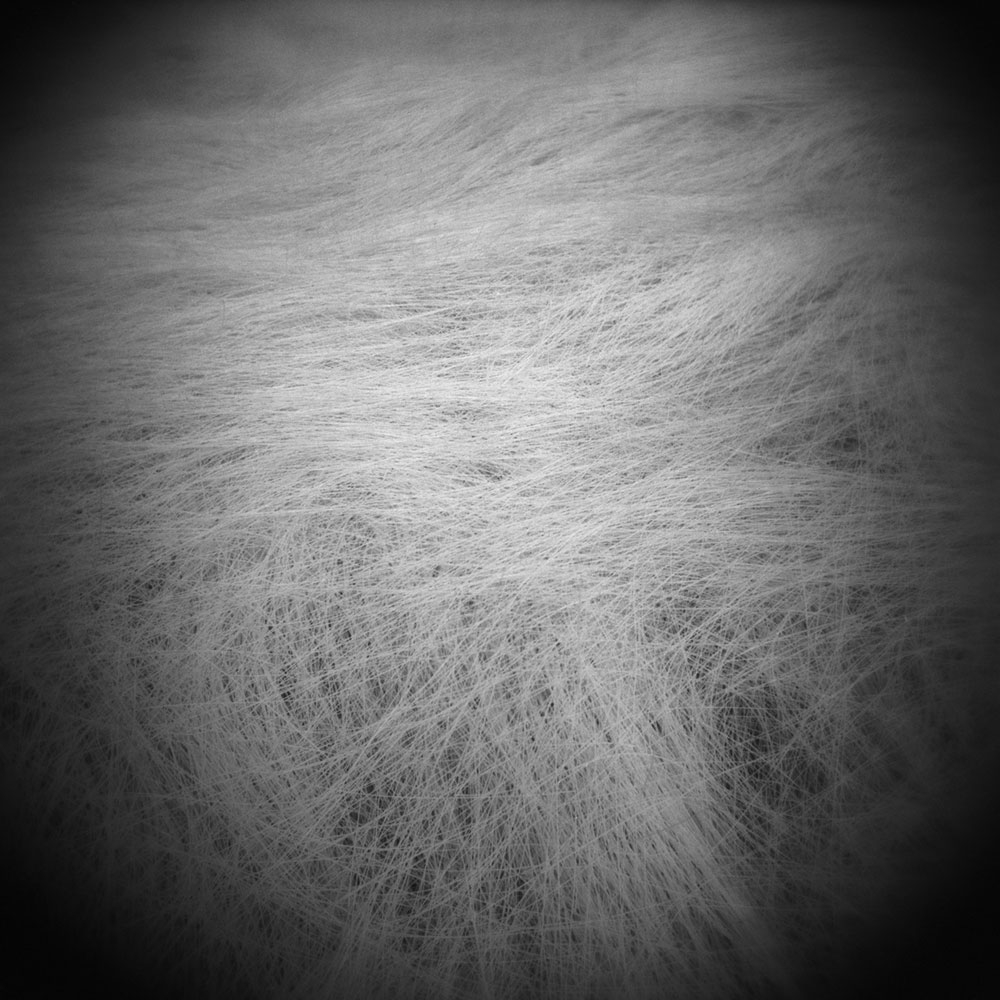grassy weave